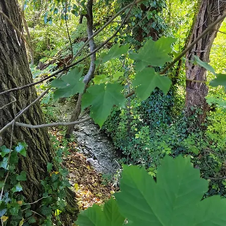 Le Frais Ruisseau